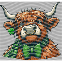 ST PATRICKS DAY-ST 248